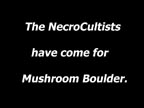 The Life and Death of Mushrooom Boulder